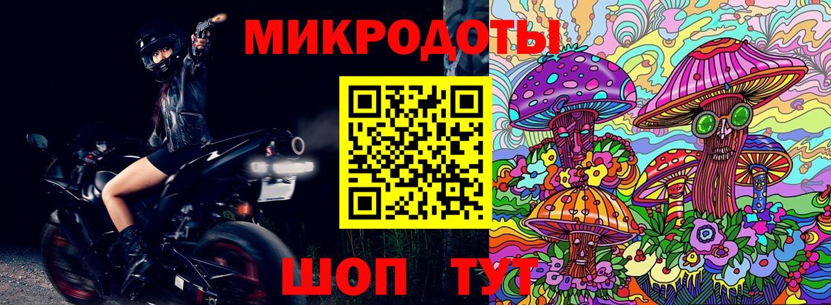 Псилоцибиновые грибы мицелий  купить наркотики сайты  Заринск  Вход с VPN 